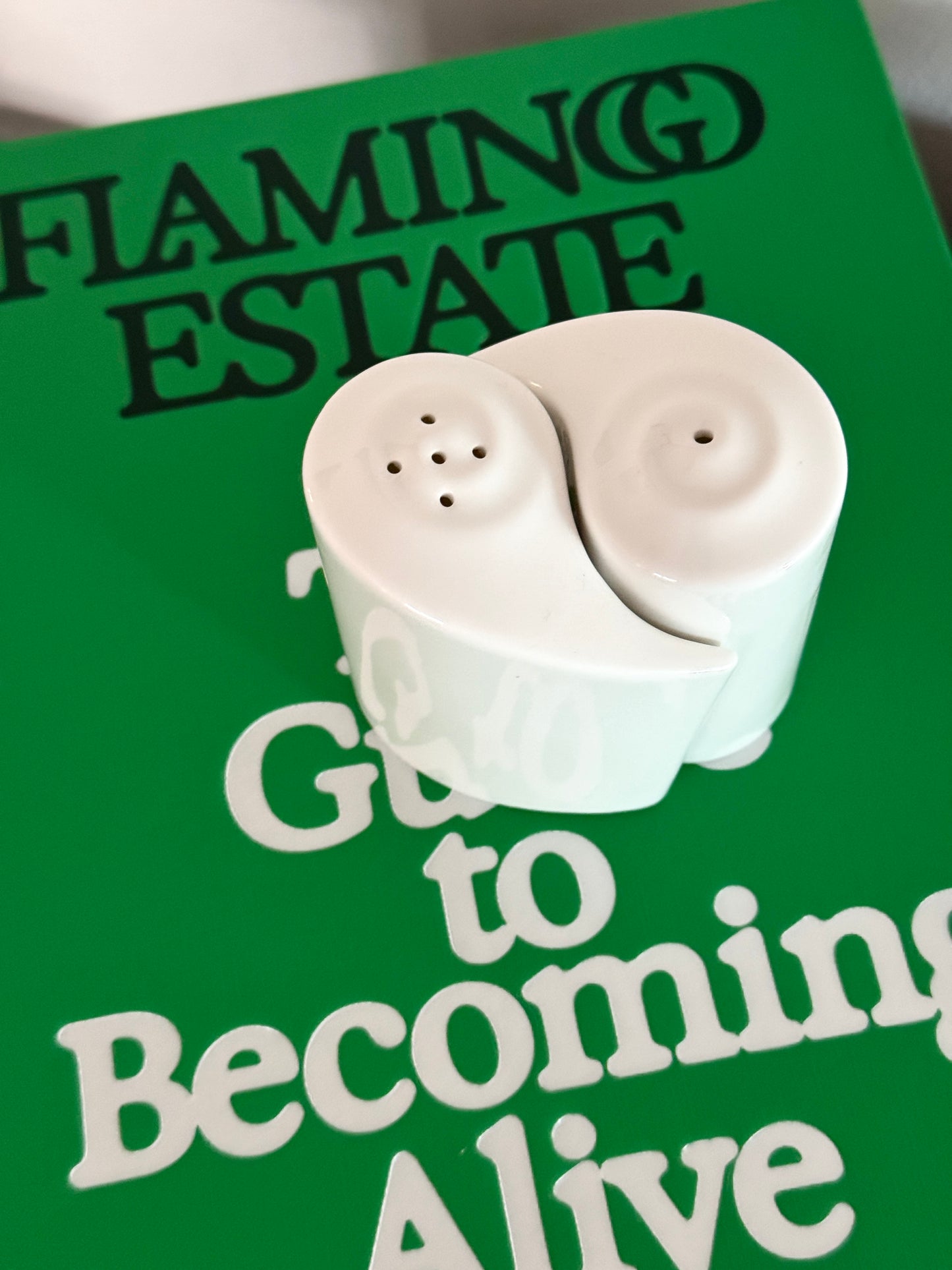 Yin Yang Ceramic Salt & Pepper Shakers – White