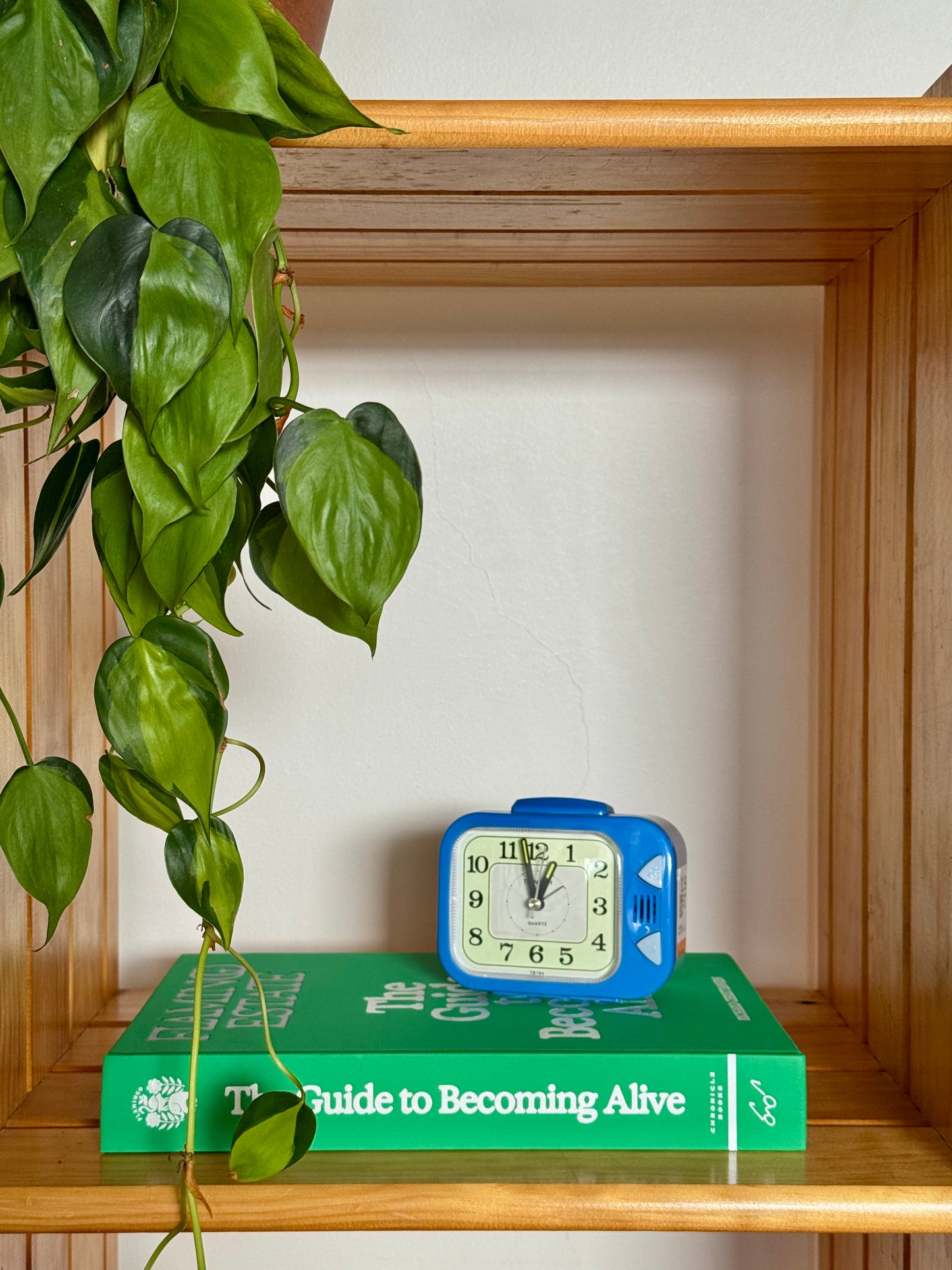 TIENBAH Quartz Vintage Alarm Clock with Light & Alarm