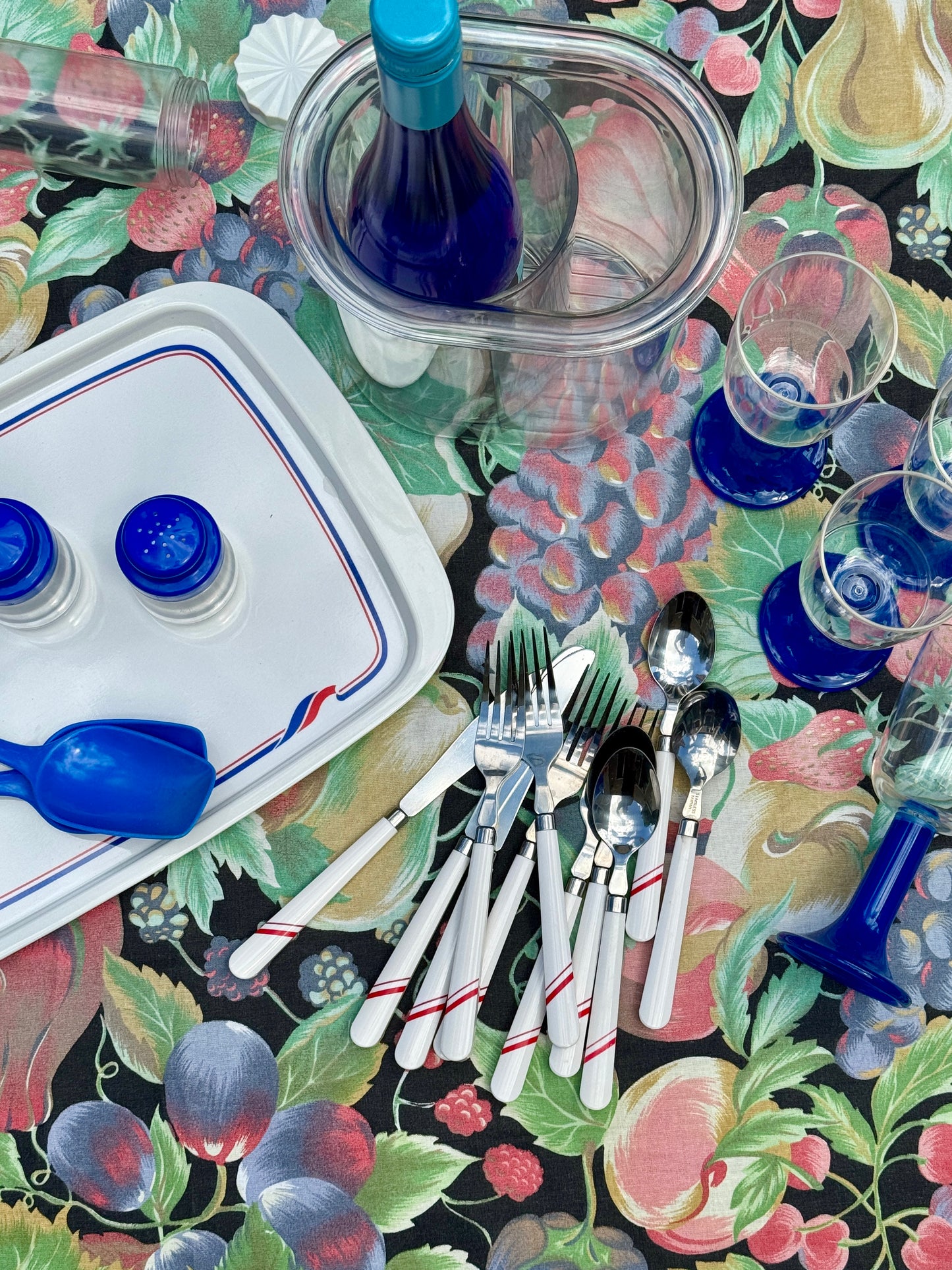 Blue, red and white picnic set