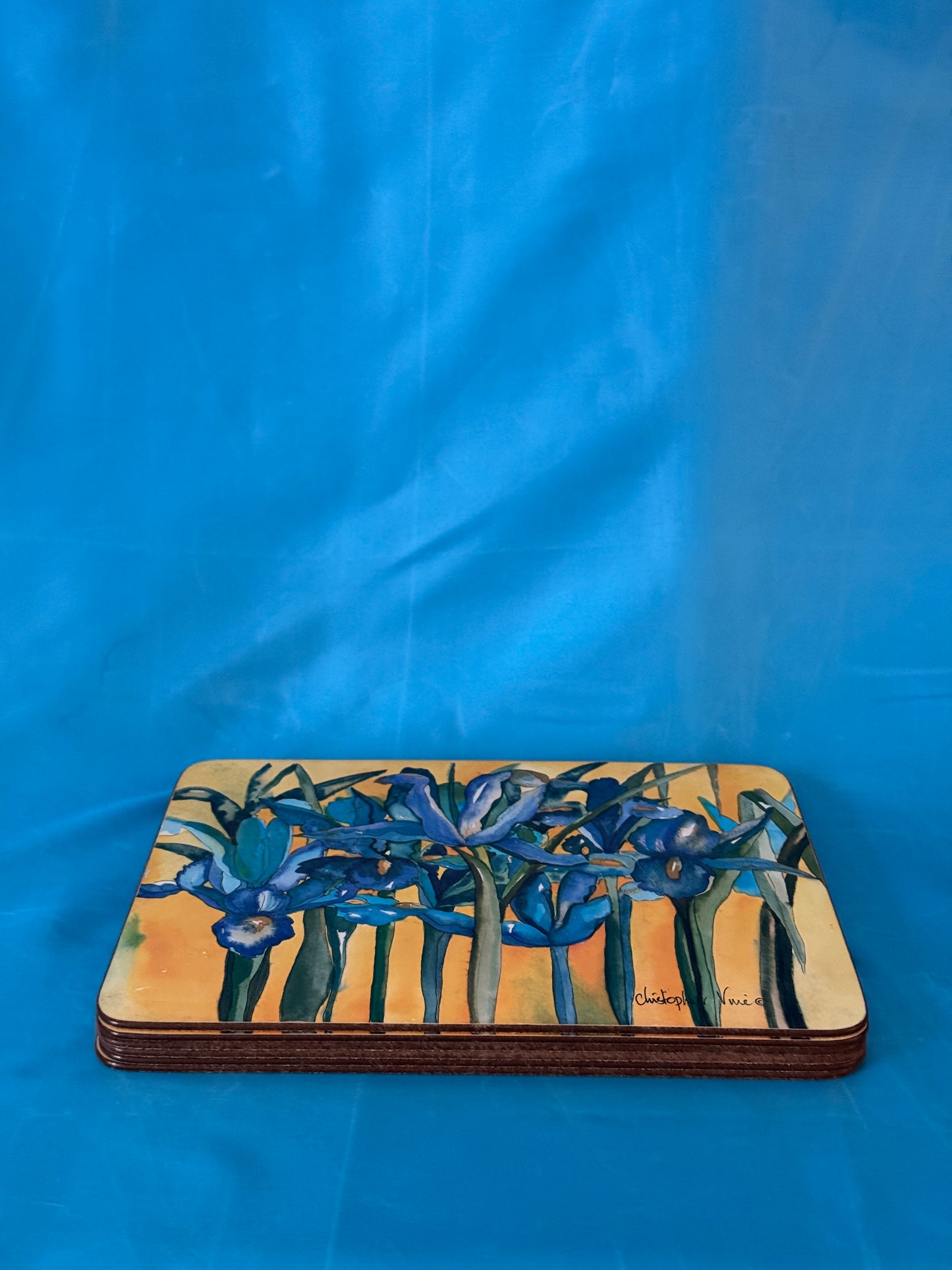 Vintage Set of 6 Iris Christopher Vine placemats
