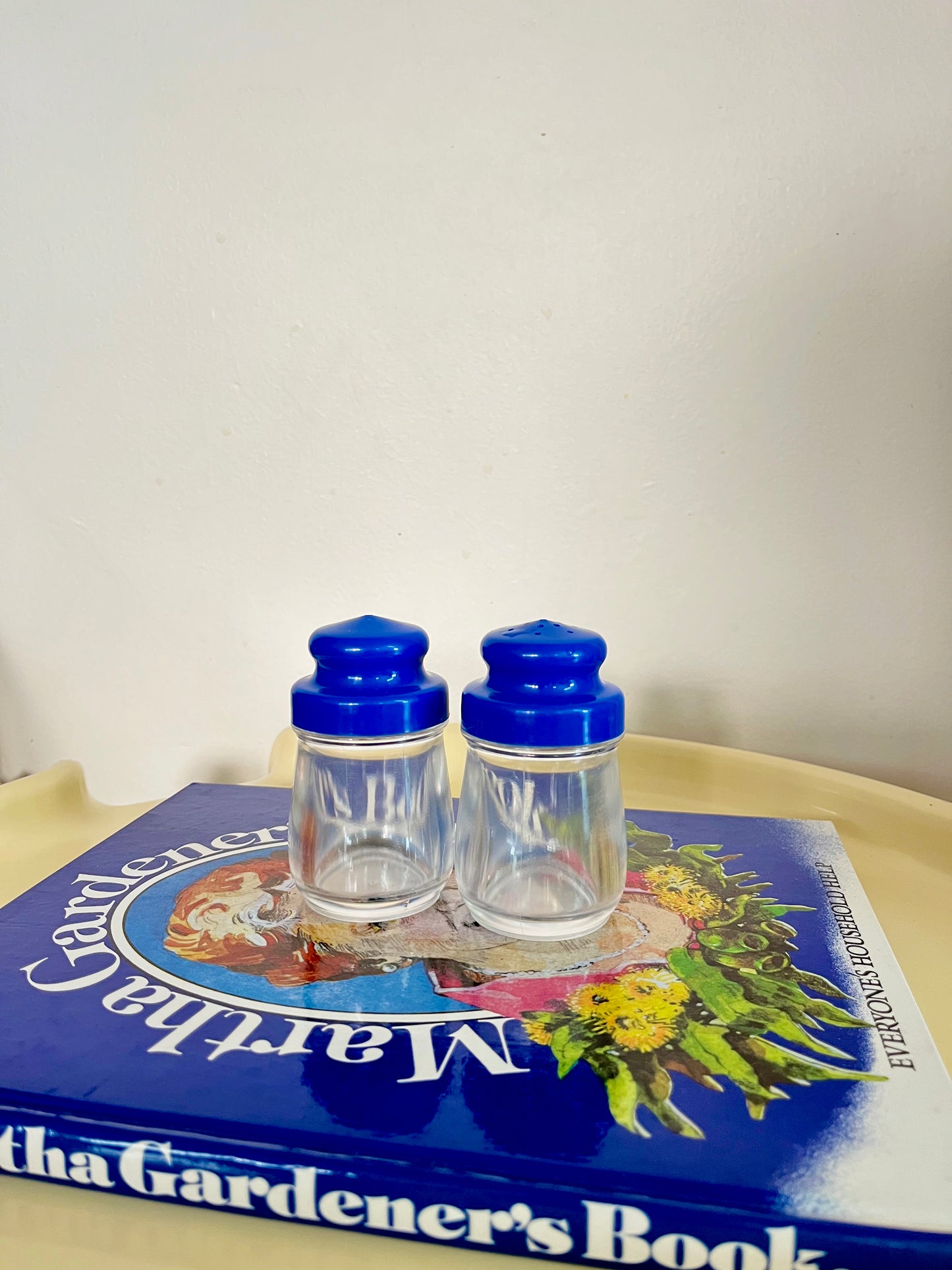 Vintage Blue & Clear Salt + Pepper Shaker Set